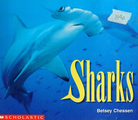 Sharks