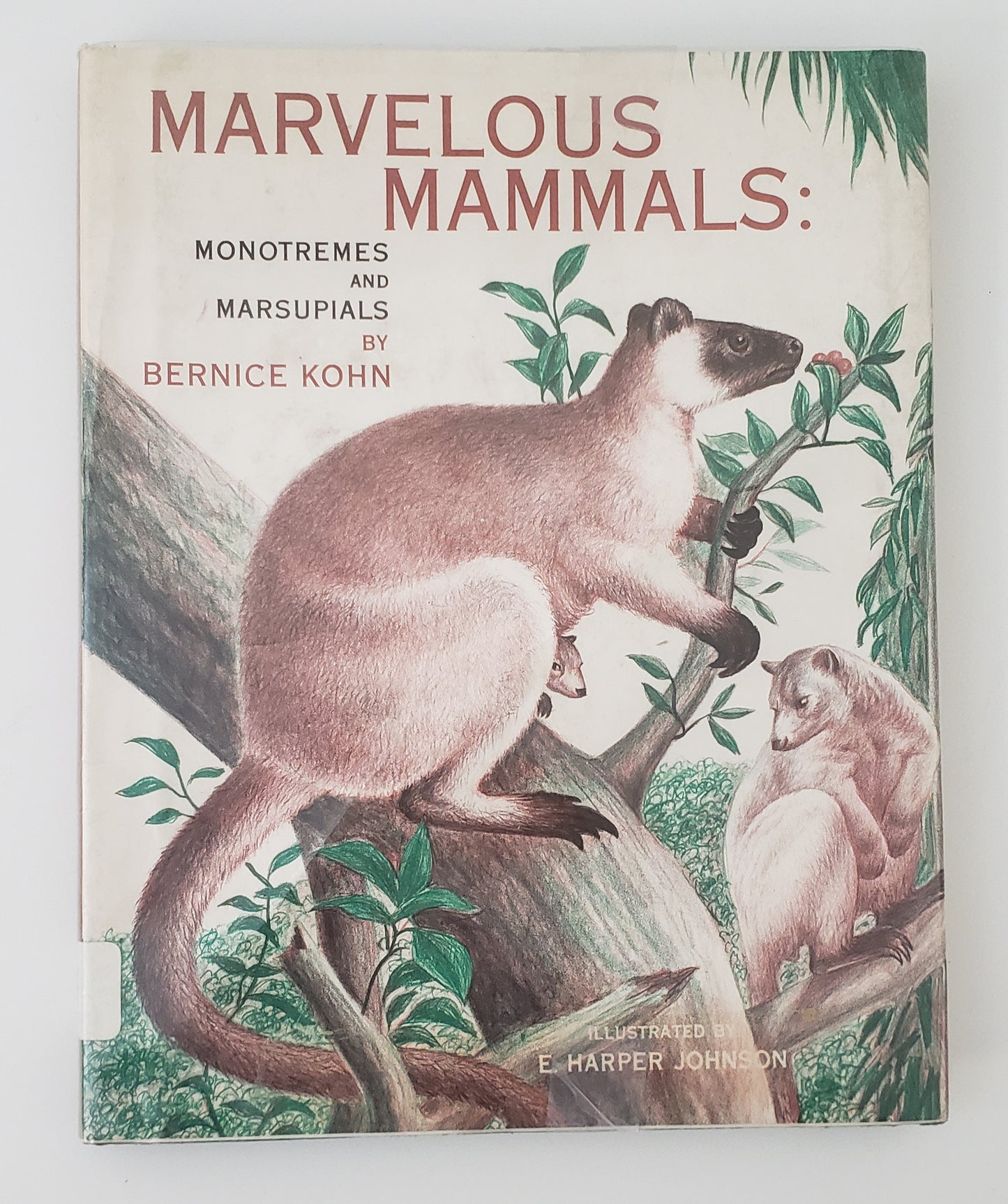 Marvelous Mammals