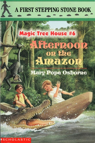 Afternoon on the Amazon