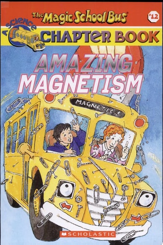 Amazing Magnetism