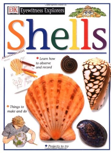 Eyewitness Explorers: Shells