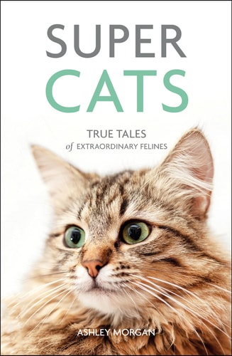 Super Cats True Tales of Extraordinary Felines
