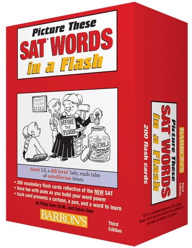 Picture These Sat Words in a Flash