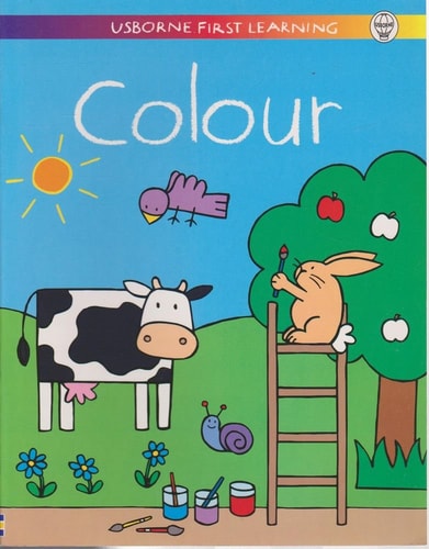 First Learning Color (First Learning Series)