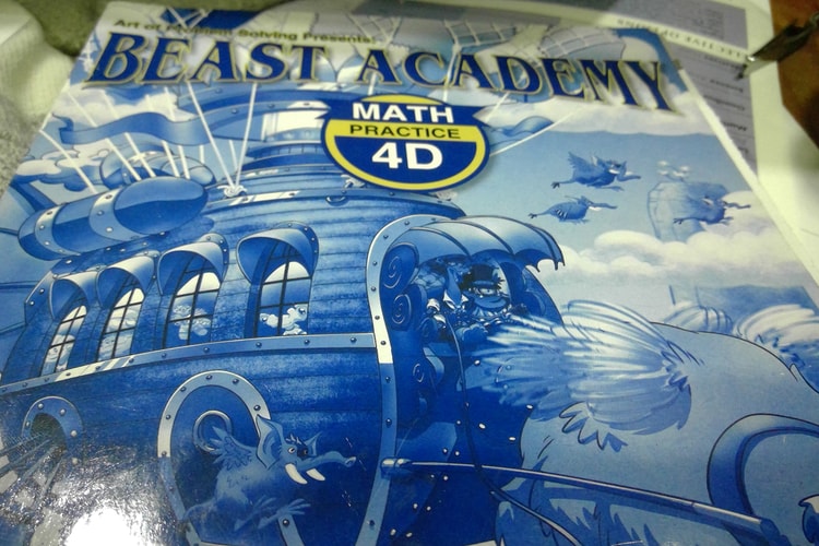 Beast Academy Practice 4D