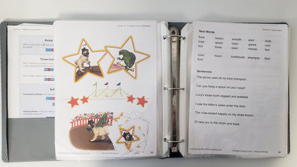 Swing Into Reading Activity Book