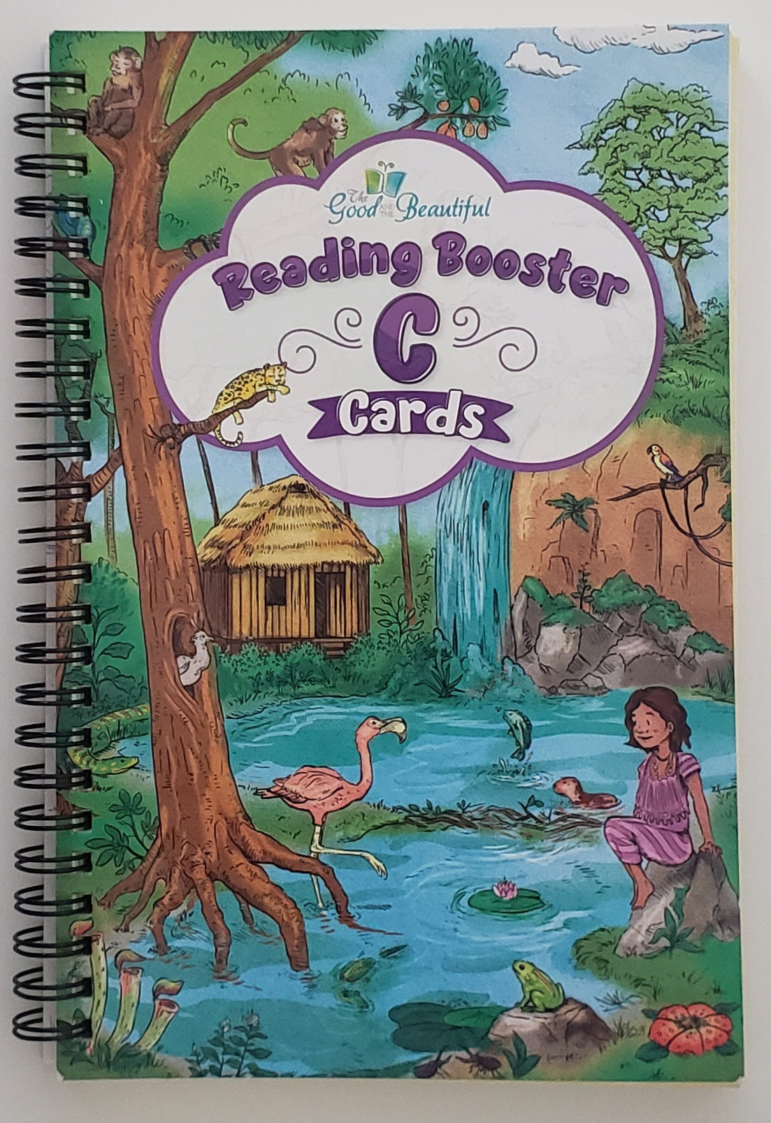Reading Booster Cards C