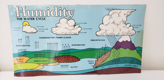 Water Cycle Chart