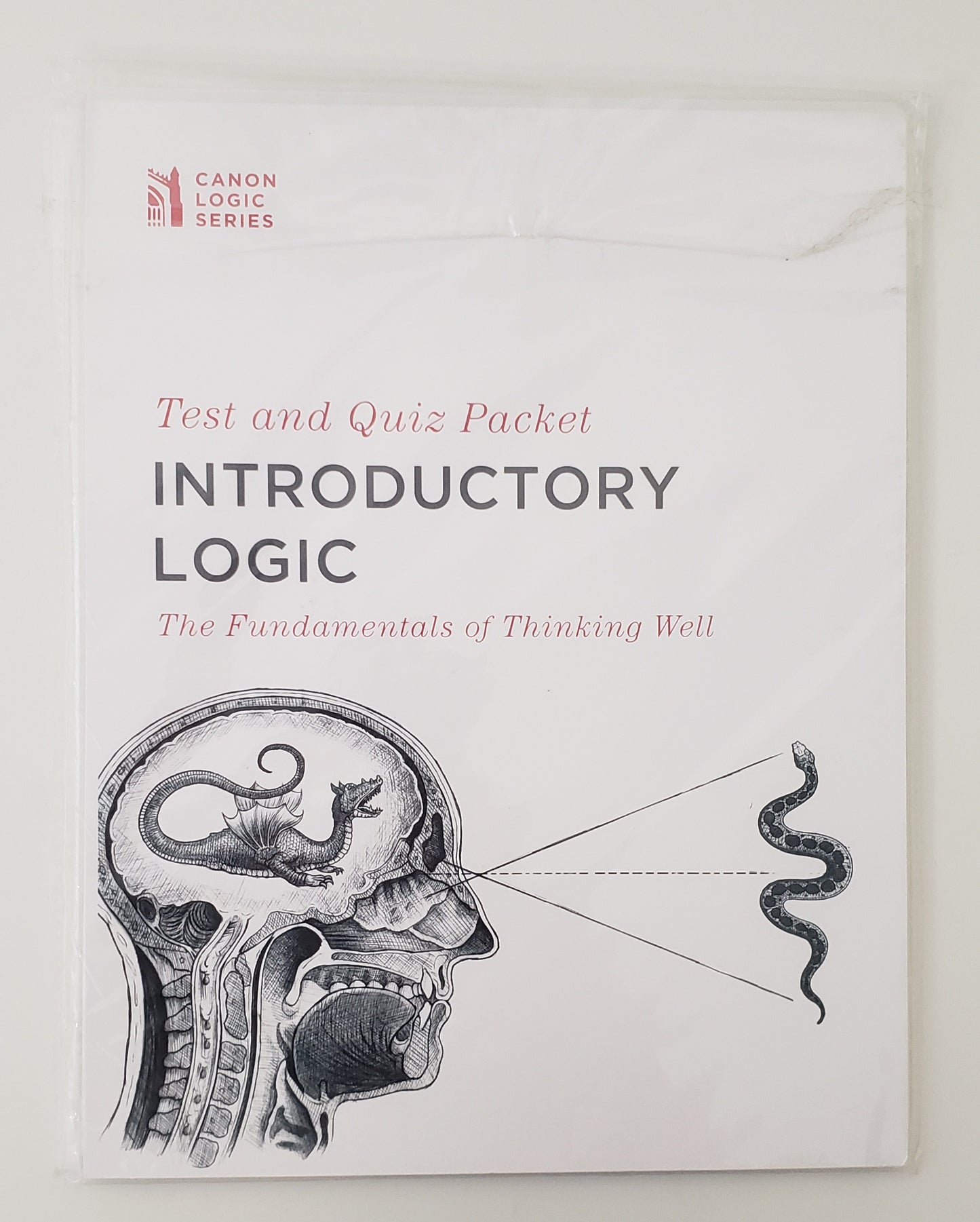 Introductory Logic Test & Quiz Packet