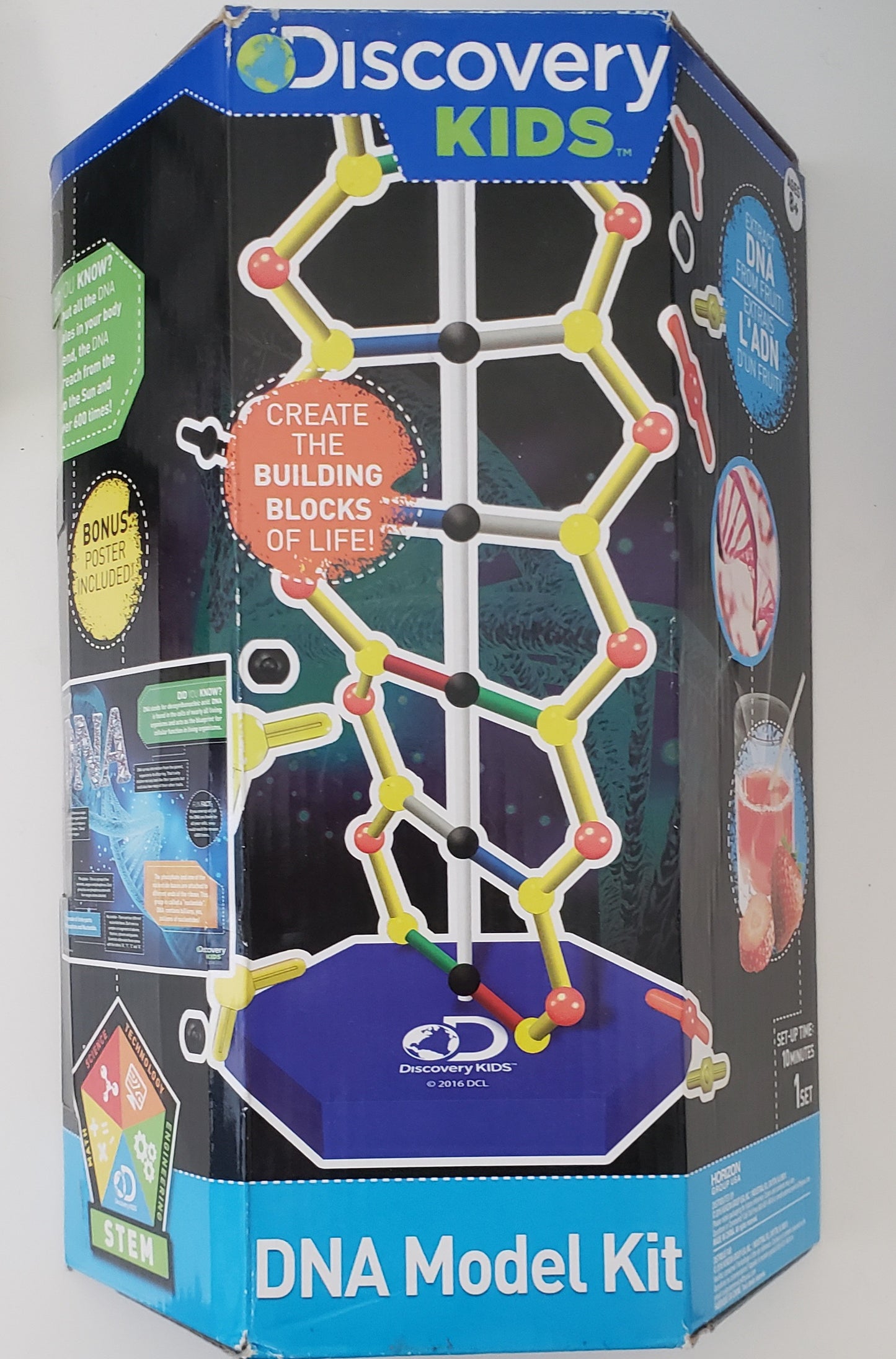 Discovery Kids DNA Model Kit