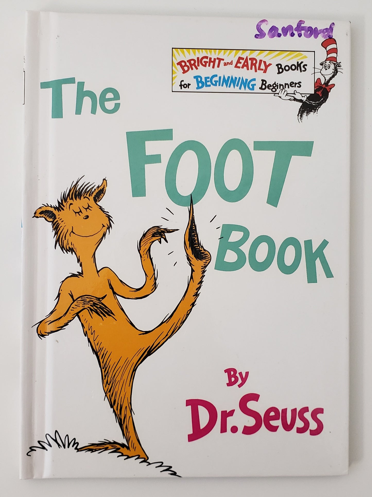 The Foot Book