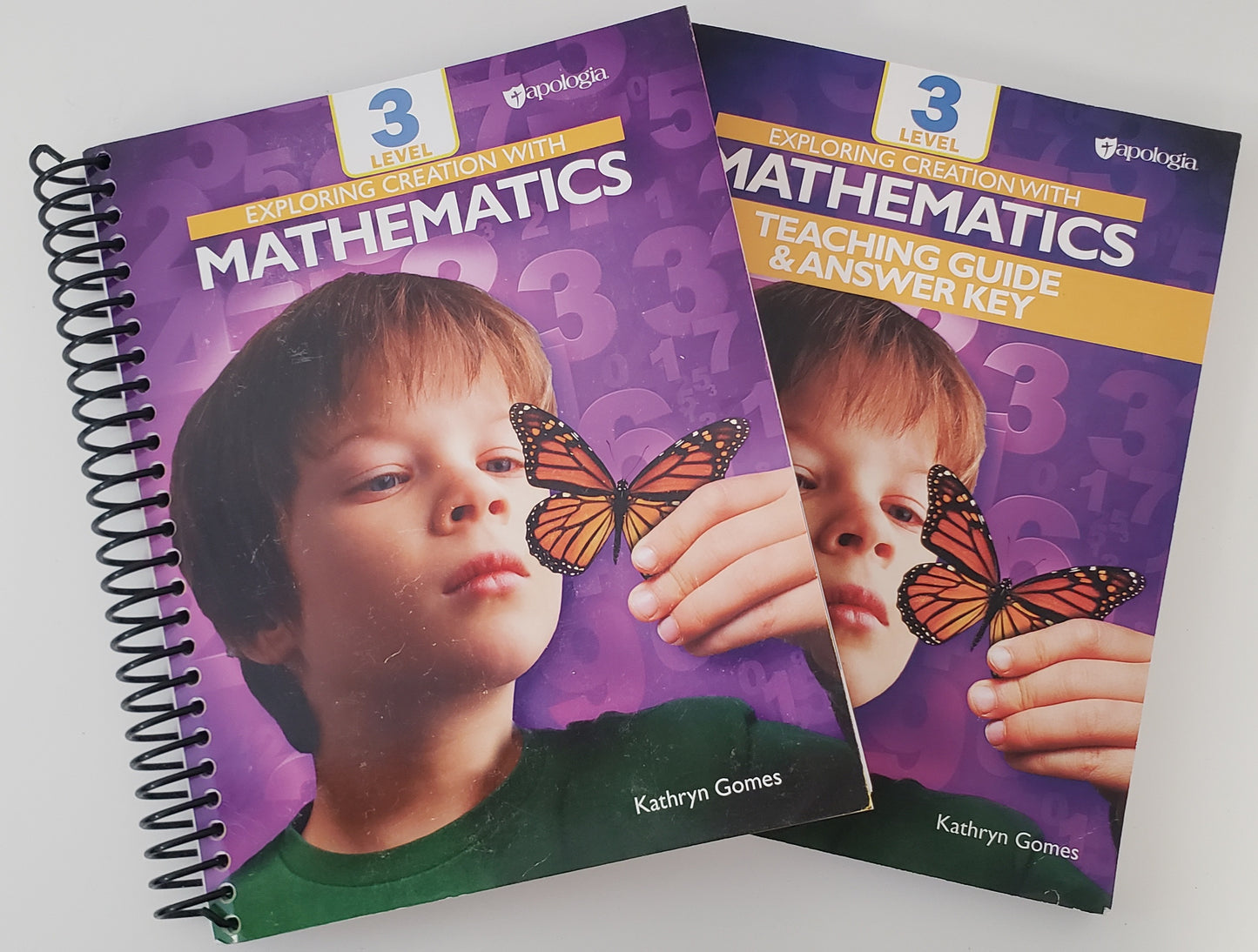Exploring Creation with Mathematics Level 3 Set