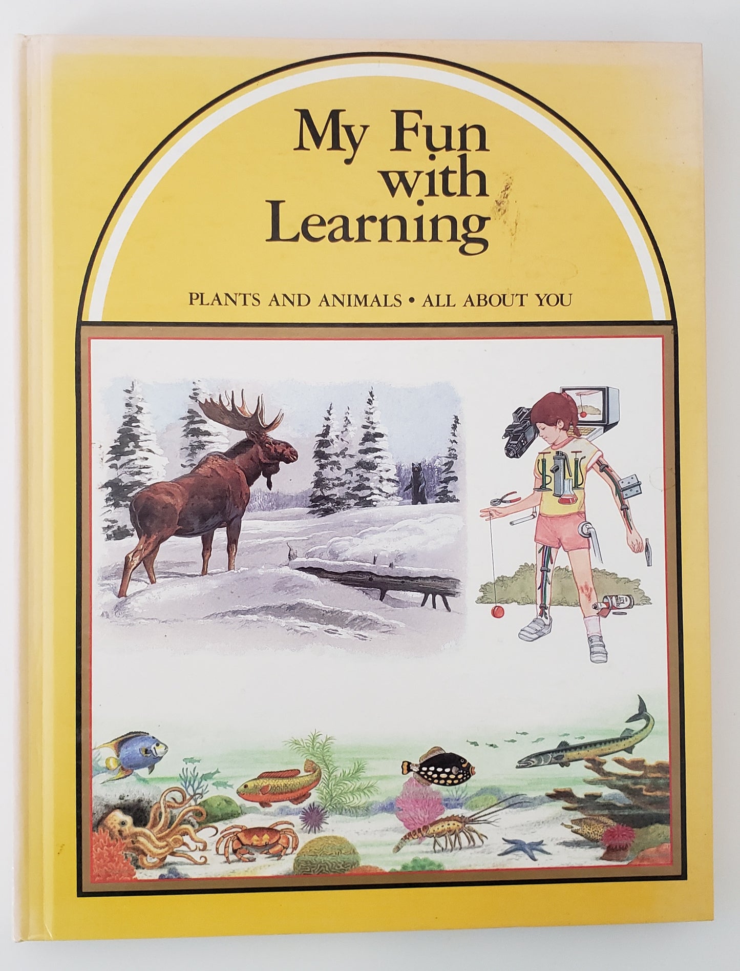 My Fun with Learning 5 Book Set