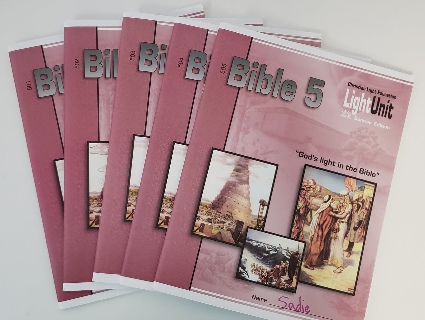 Bible 5 Student Book 501-505 Set