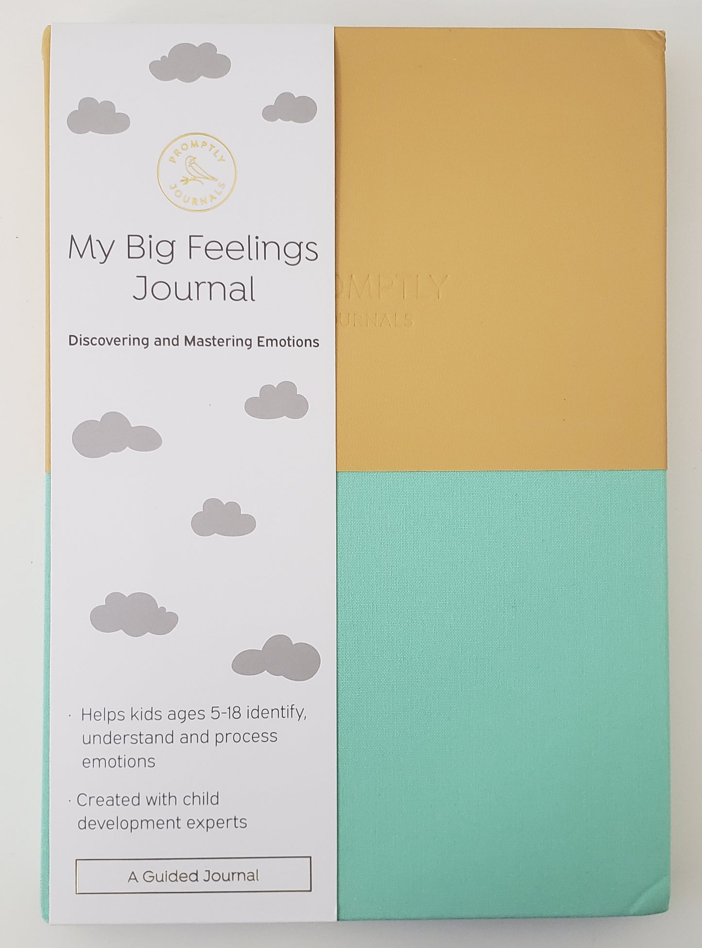 My Big Feelings Journal