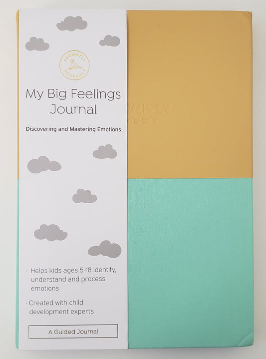 My Big Feelings Journal