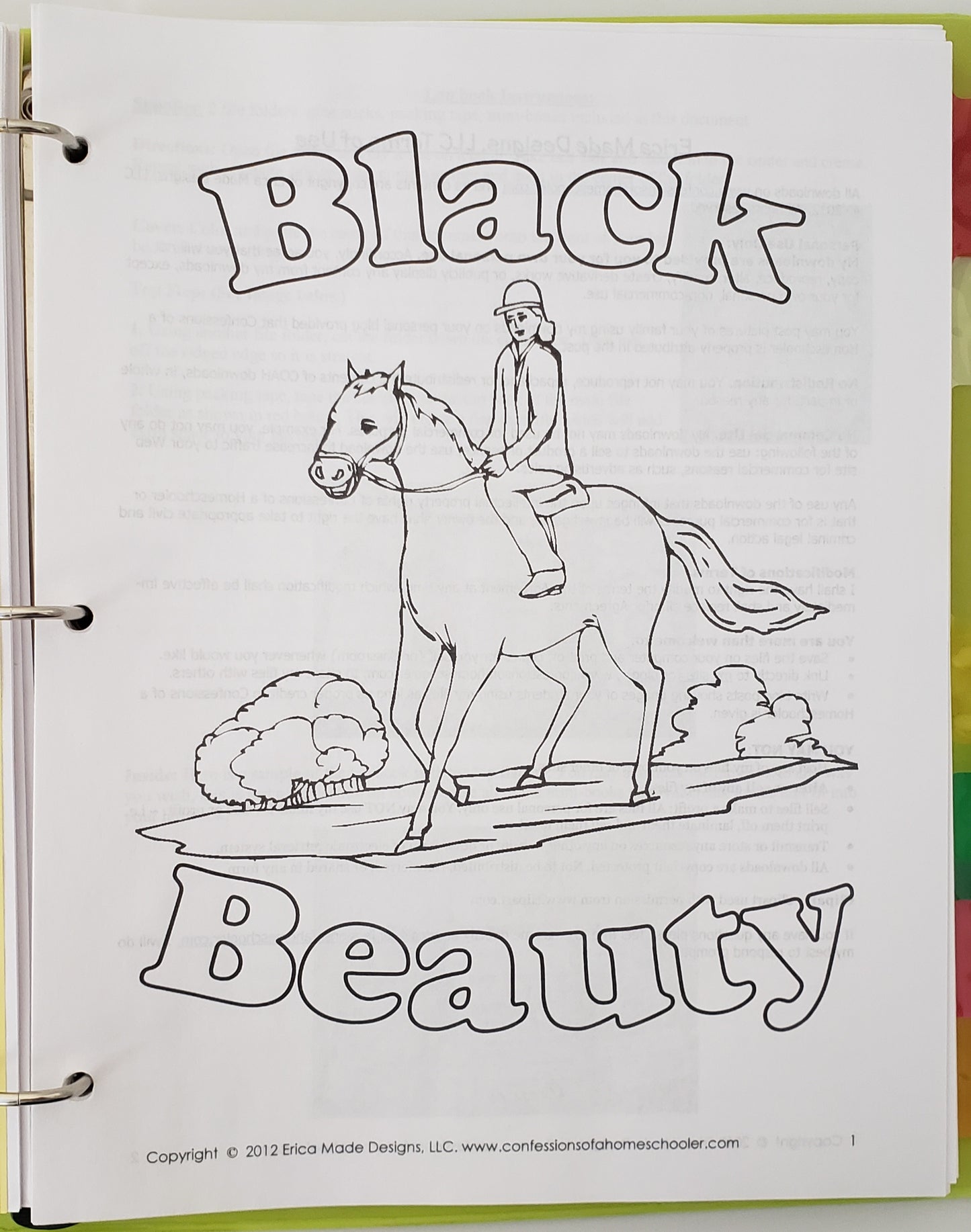 Classic Literature Study Pack