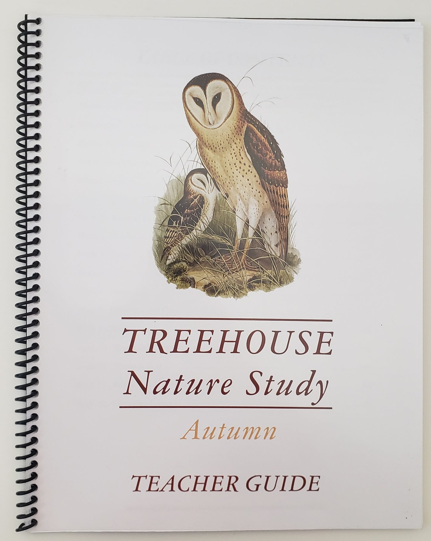 Treehouse Nature Study Autumn