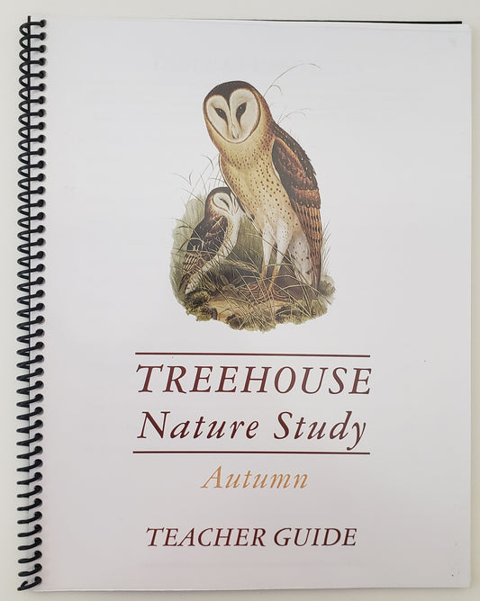 Treehouse Nature Study Autumn