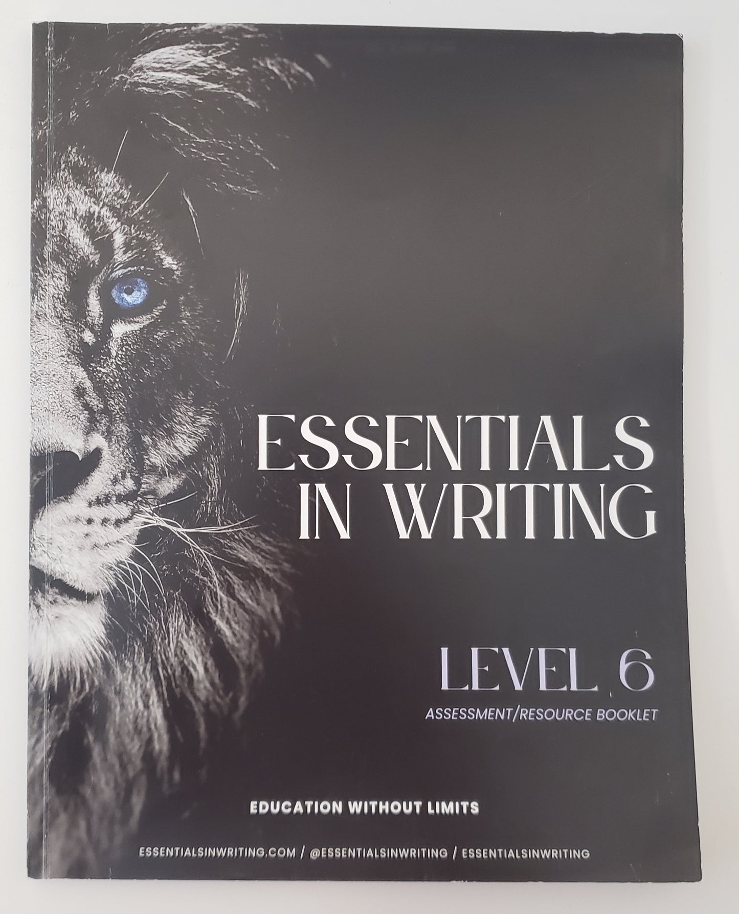 Essentials in Writing Level 6