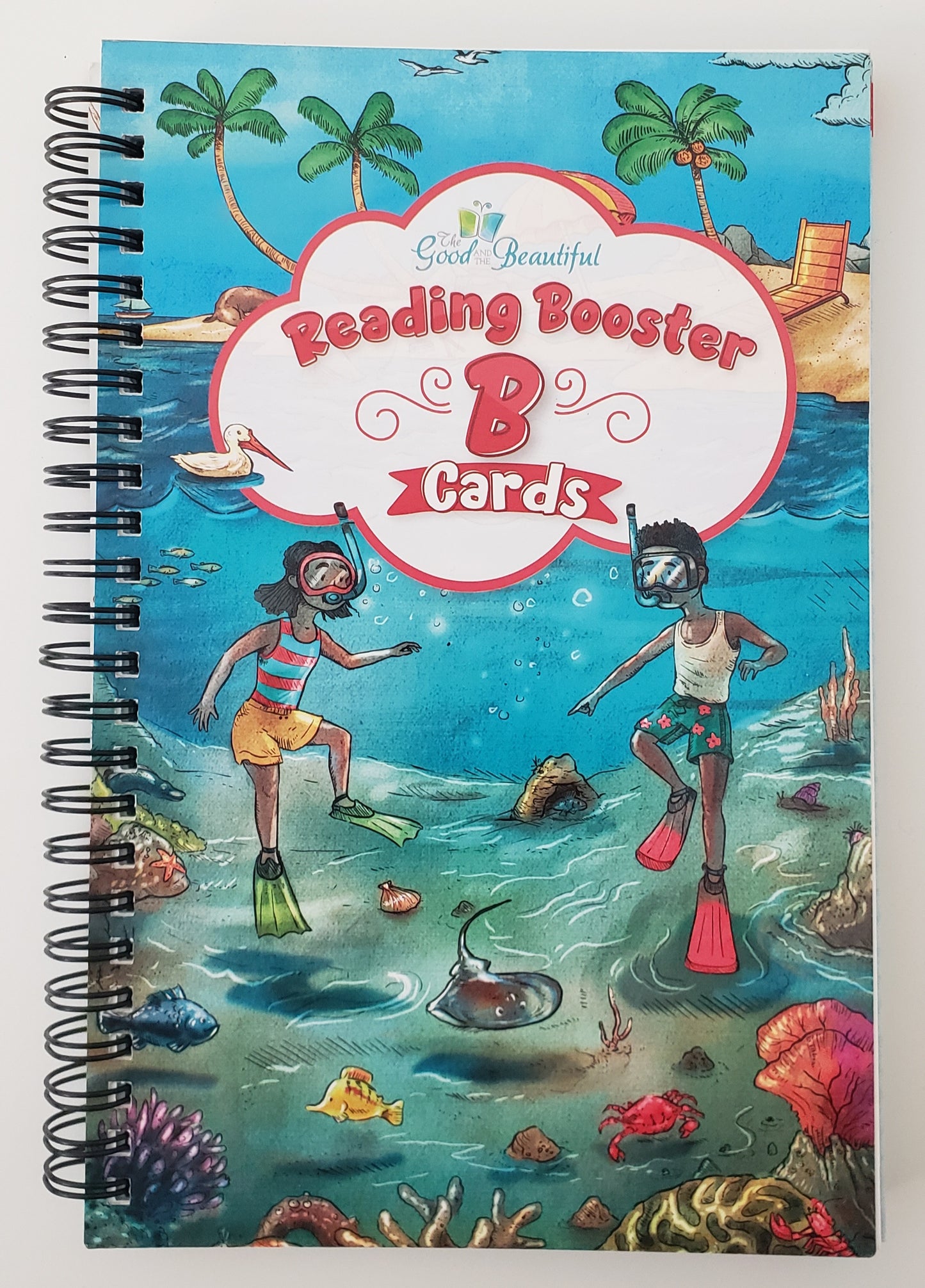 Reading Booster B Cards