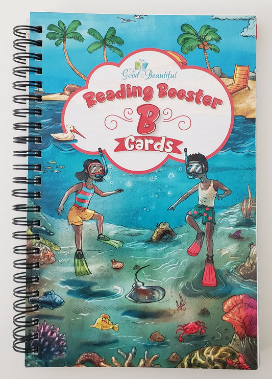 Reading Booster B Cards