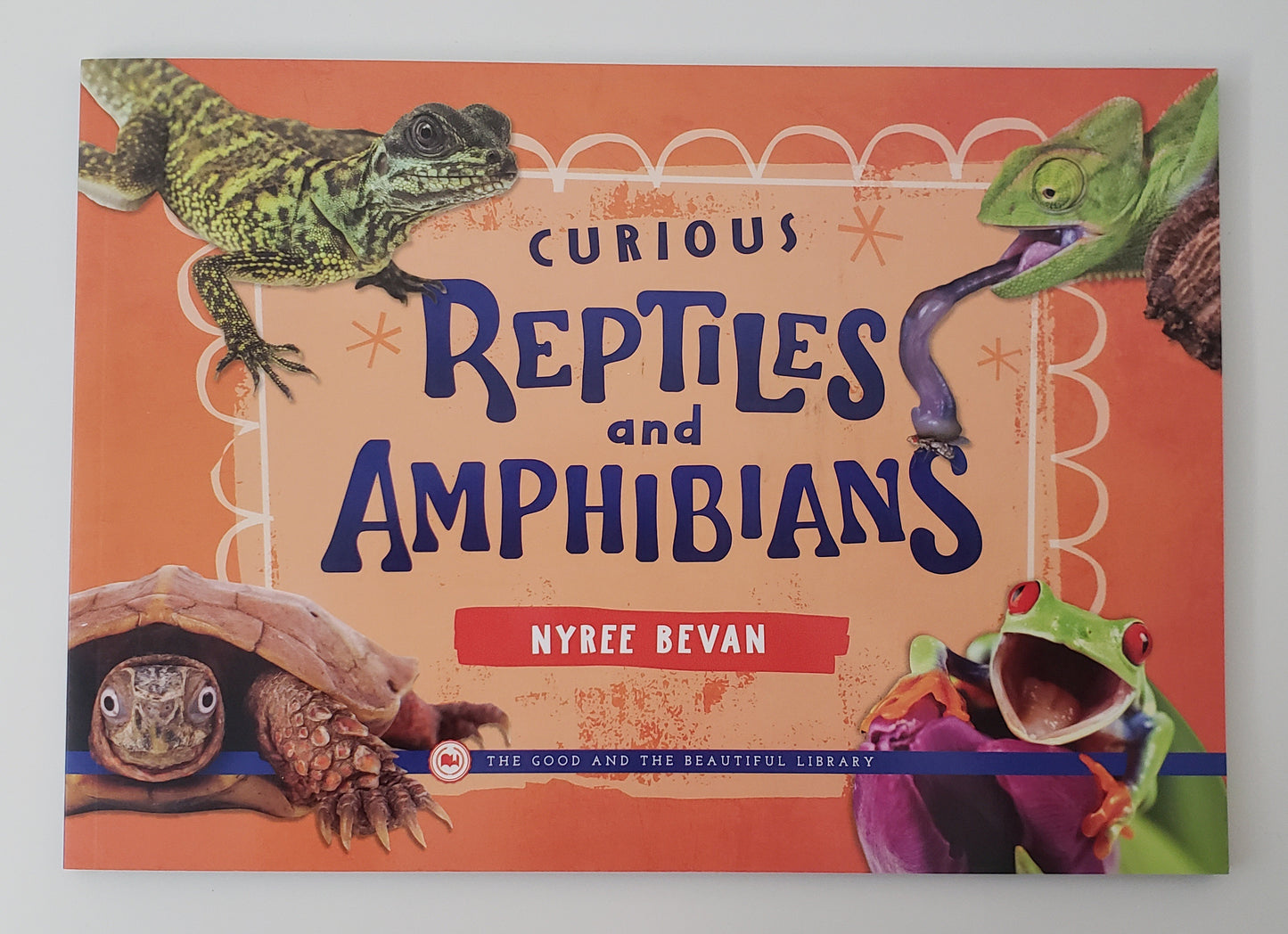 Curious Reptiles and Amphibians