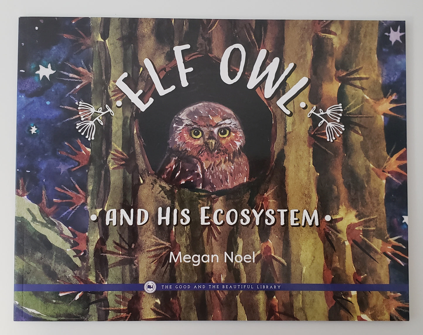 Elf Owl & His Ecosystem