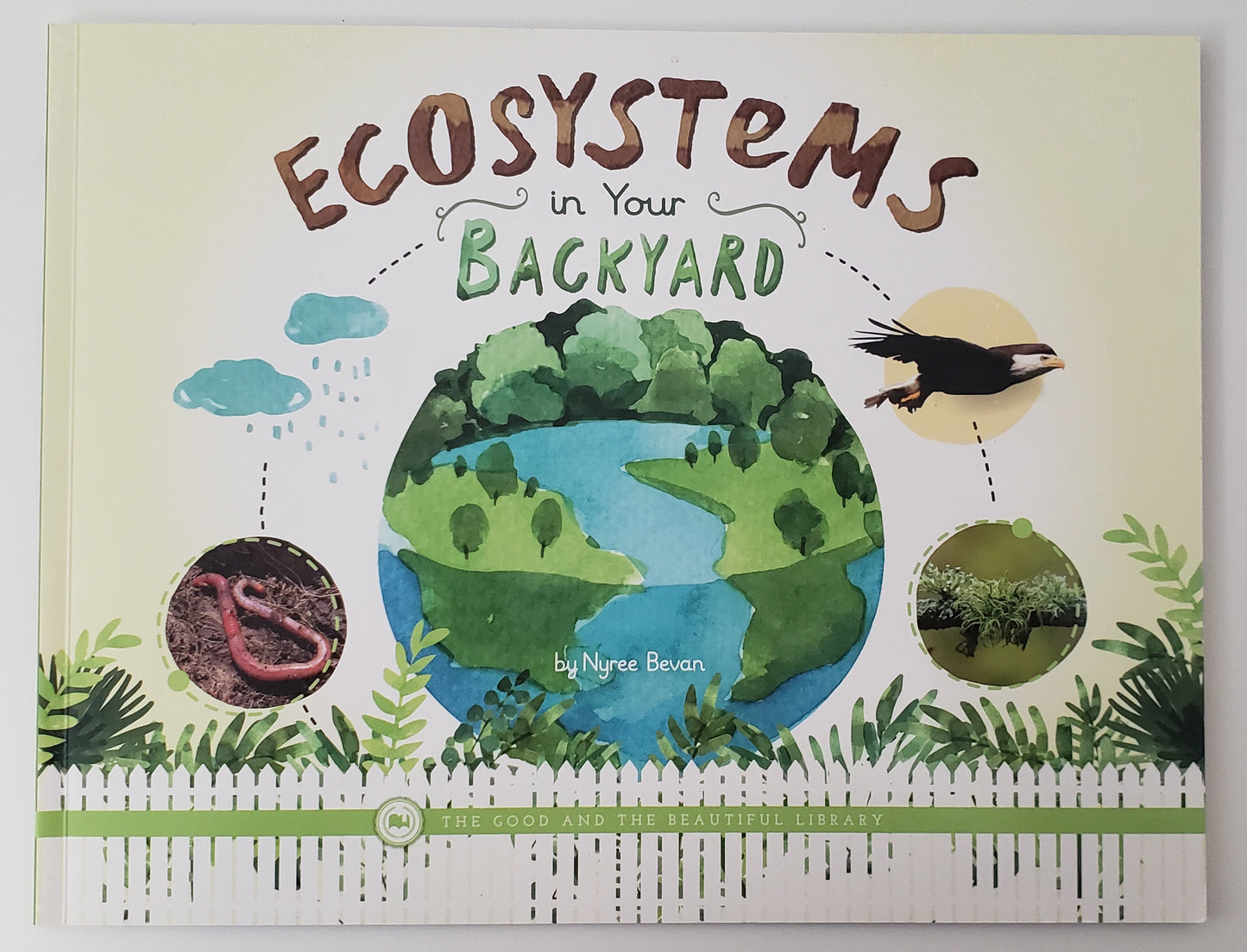 Ecosystems in Your Backyard
