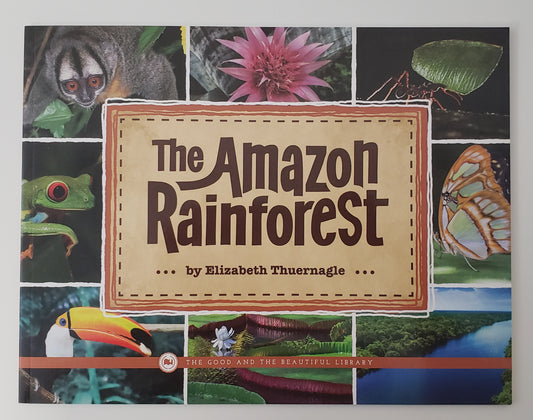 The Amazon Rainforest