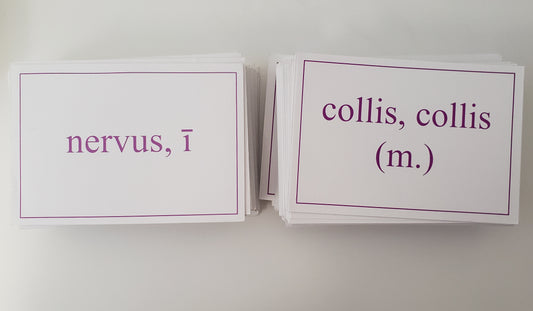 Large Latin Flashcards (approx. 250)