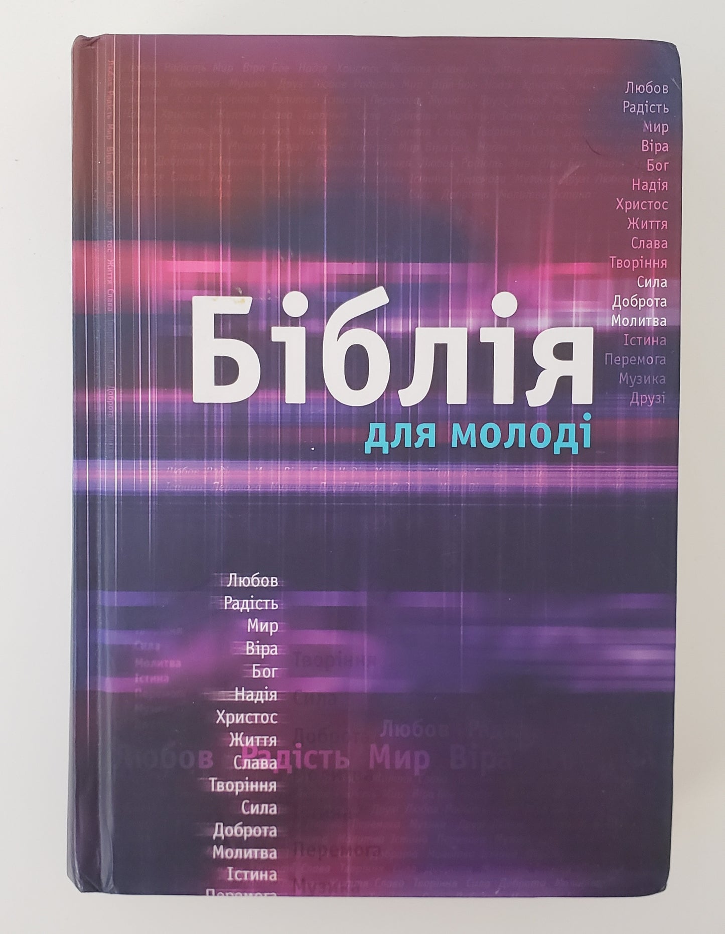 Ukranian Bible for Young People