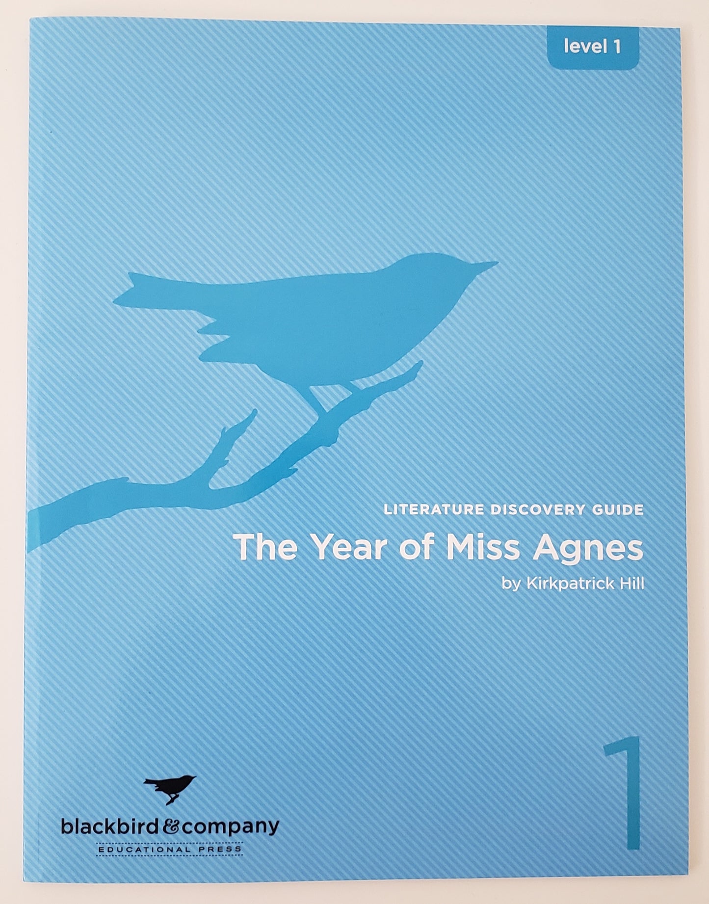 The Year of Miss Agnes Literature Discovery Guide