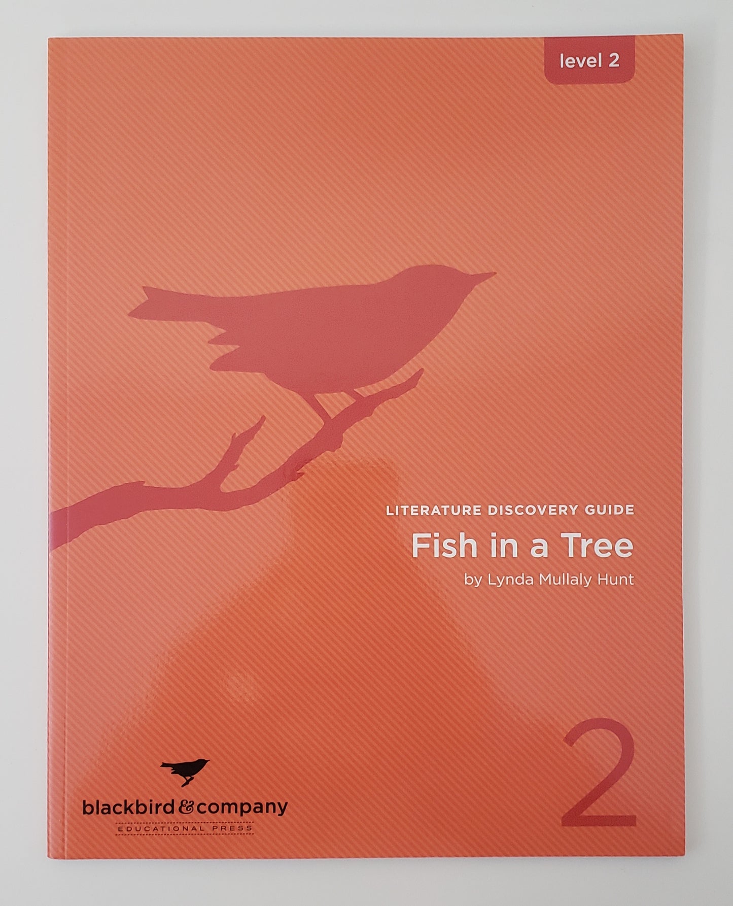 Fish in a Tree – Guide