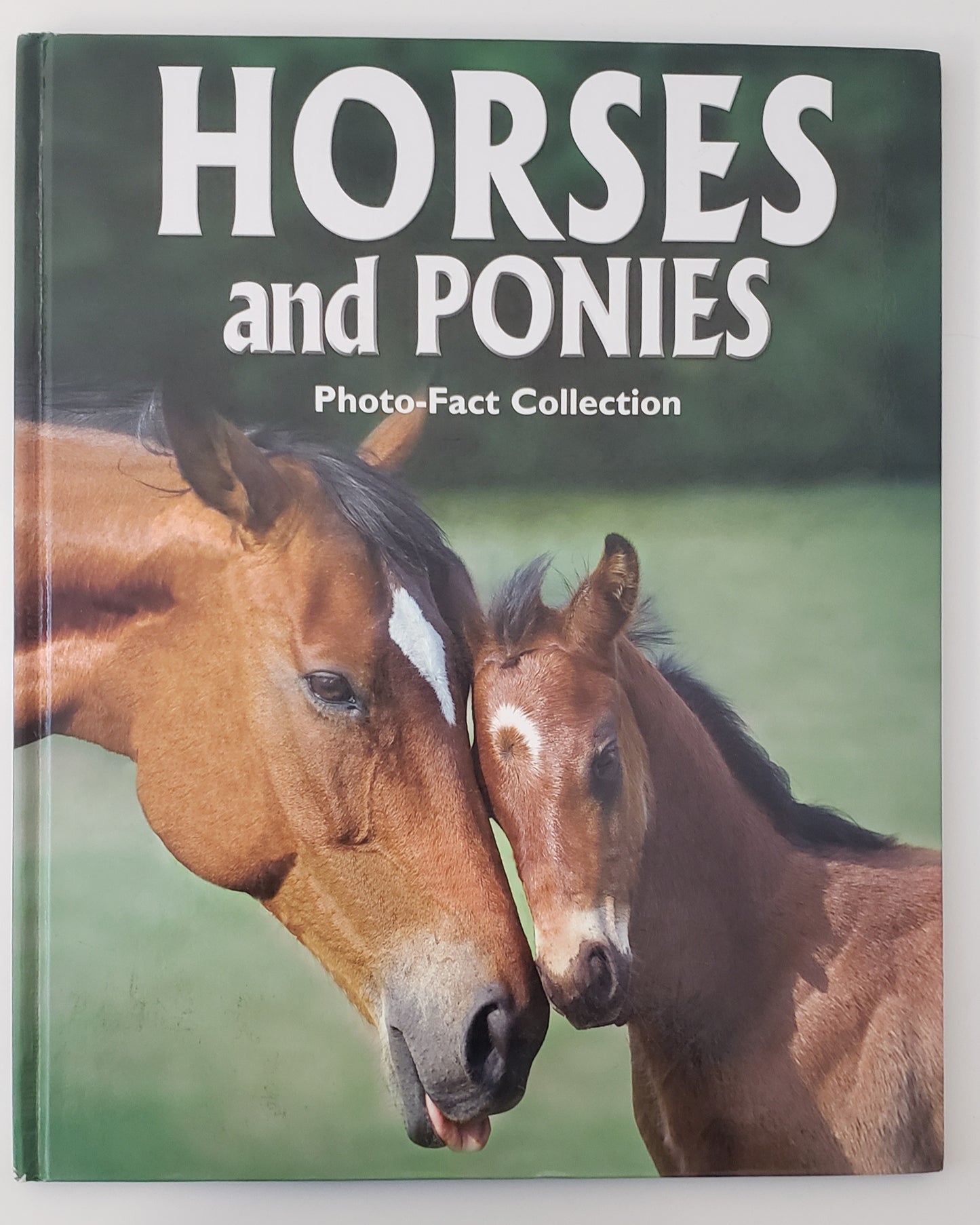 Horses and Ponies