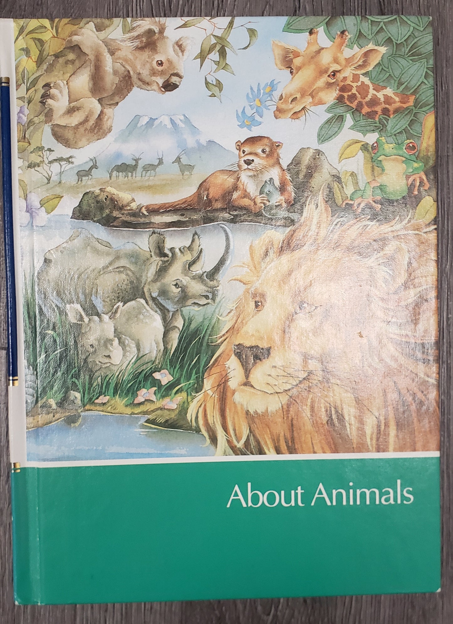 Childcraft How & Why 16 Volume Set (incl. Dictionary)