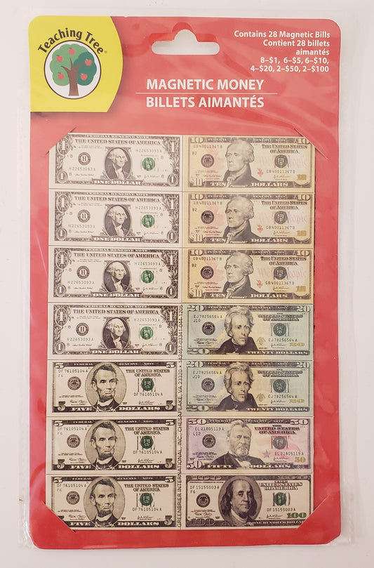 Magnetic Money