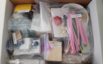 Moving Beyond the Page Science Kit Semester 1