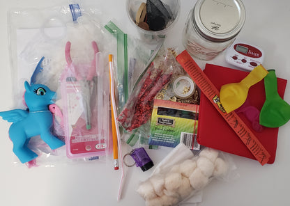 The Sassafras Science Adventures Year 1 Experiment Kit