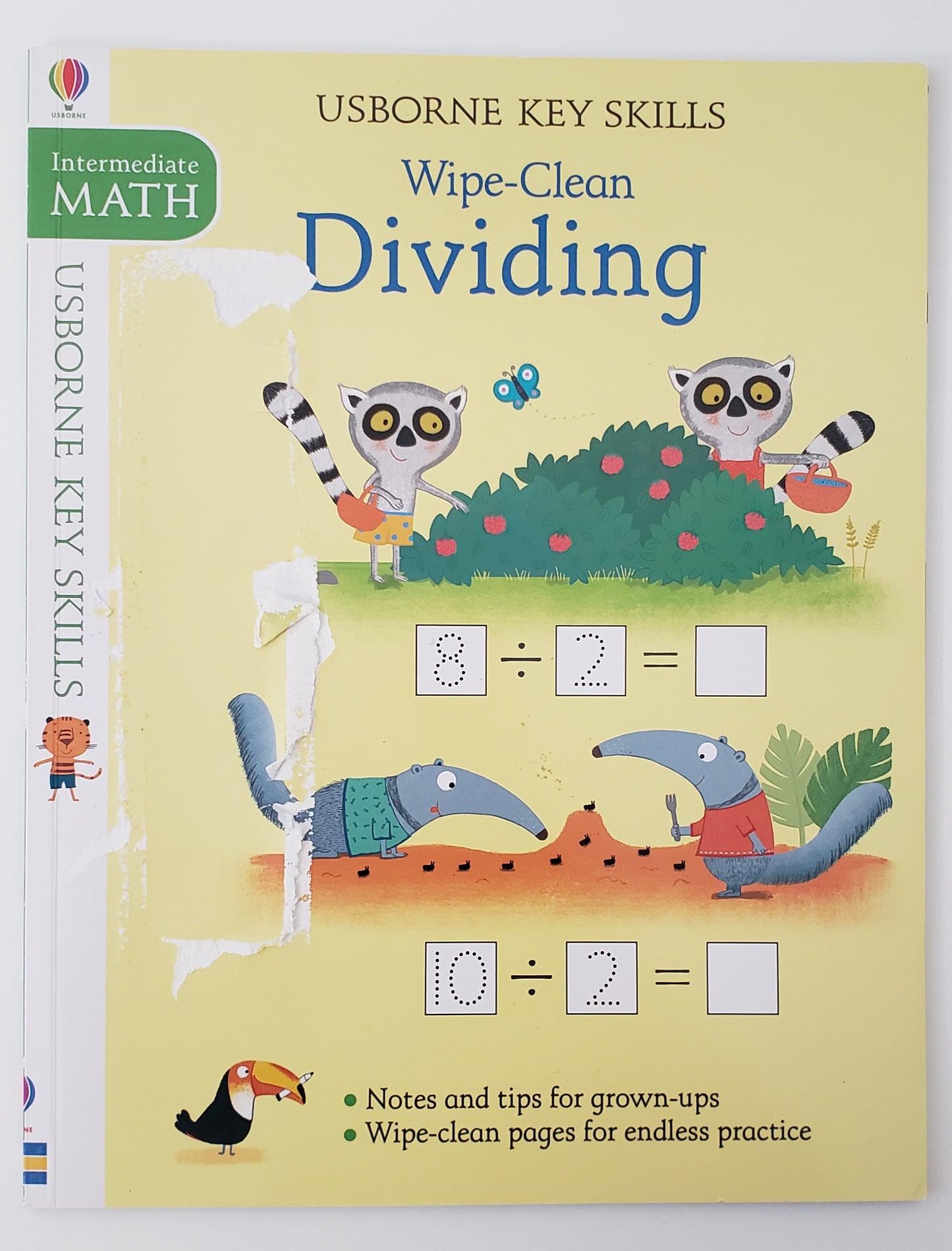 Usborne Key Skills Wipe-Clean Dividing