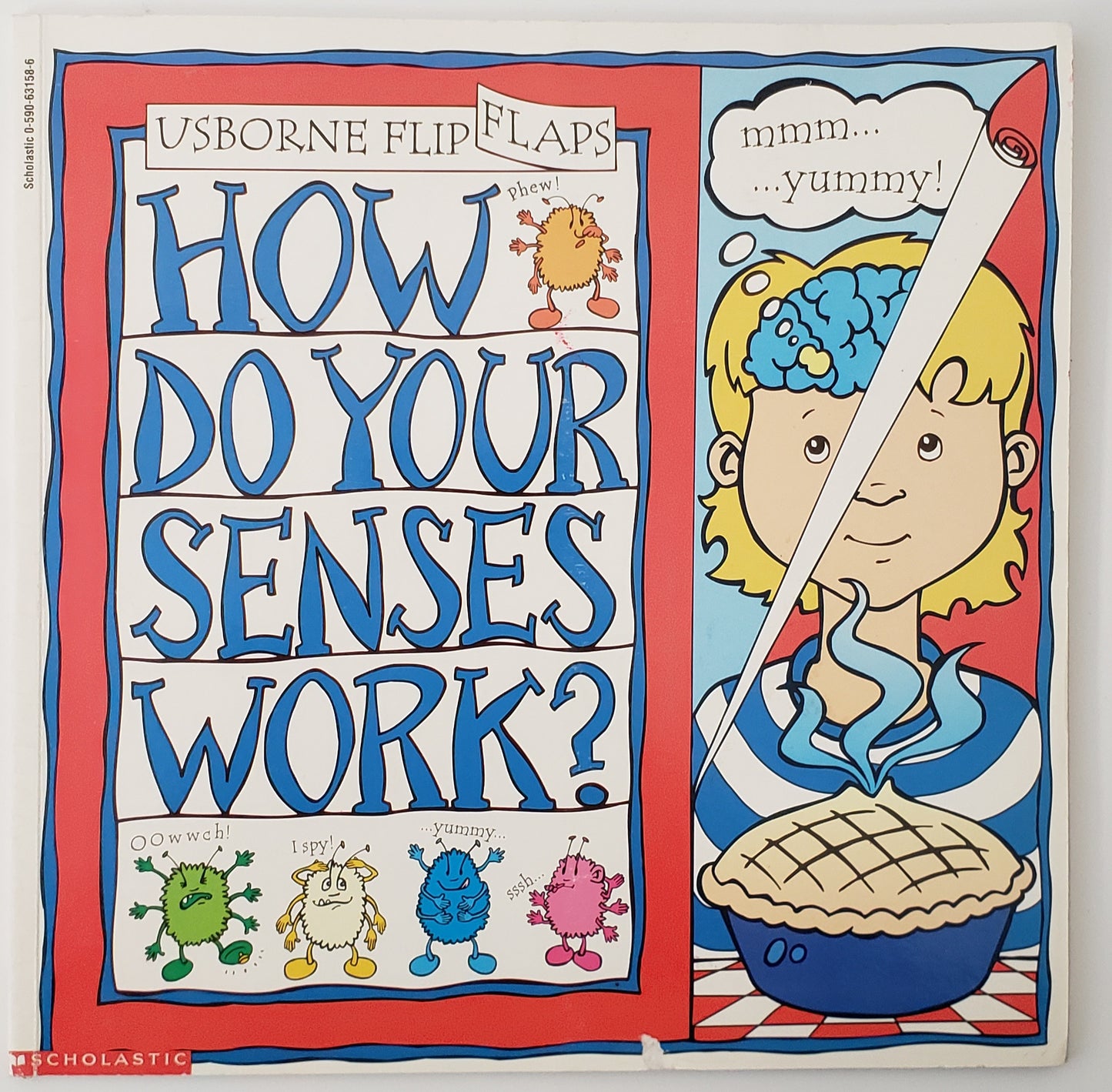 How Do Your Senses Work?
