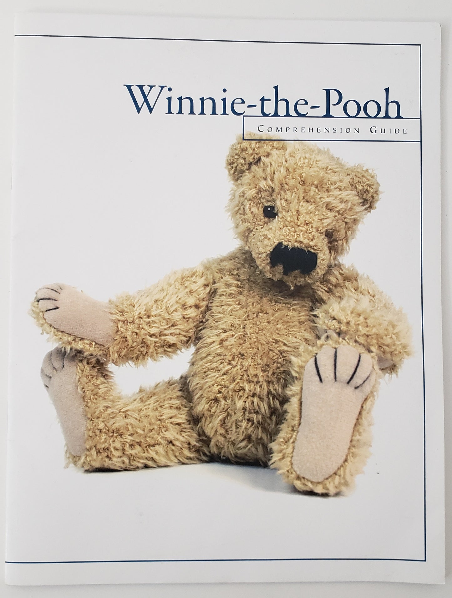 Winnie-the-Pooh Comprehension Guide