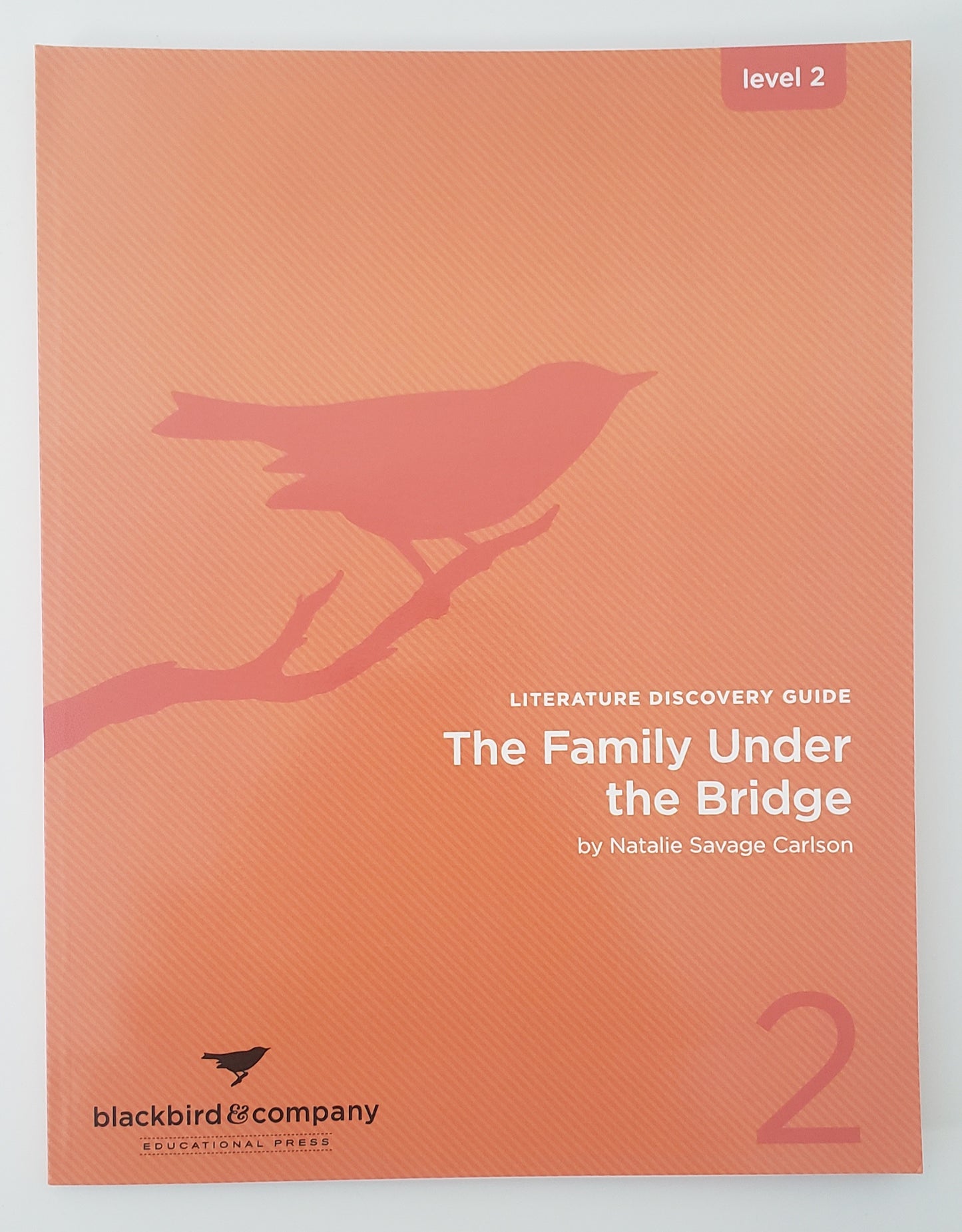 The Family Under the Bridge Literature Discovery Guide