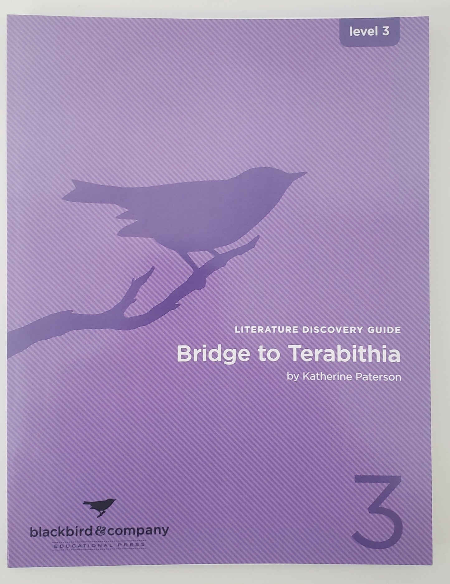 Bridge to Terabithia Literature Discovery Guide
