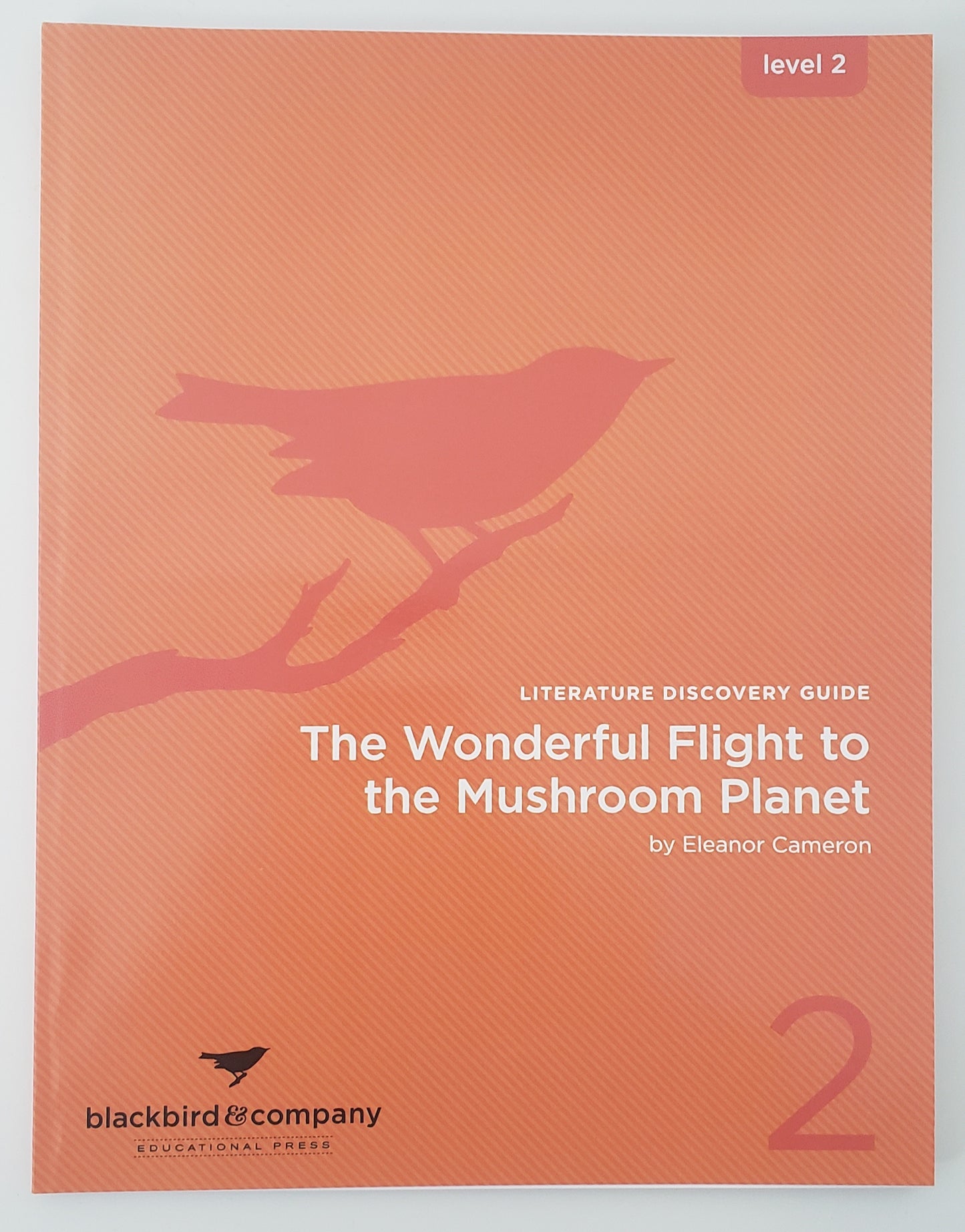 The Wonderful Flight to the Mushroom Planet – Guide