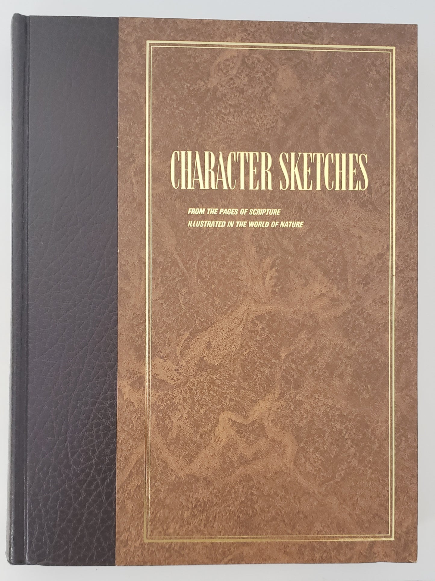 Character Sketches from the Pages of Scripture Volume I