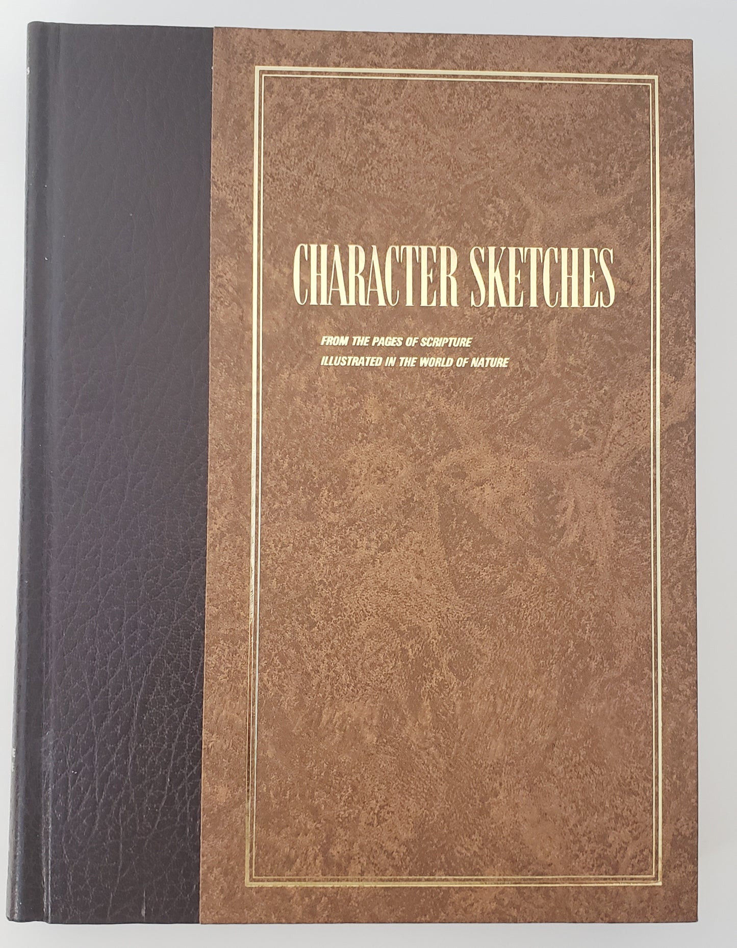 Character Sketches From the Pages of Scripture, Illustrated in the World of Nature, Vol. 2
