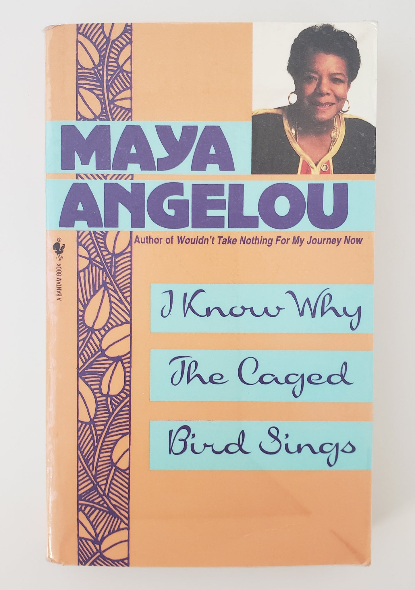 I Know Why the Caged Bird Sings