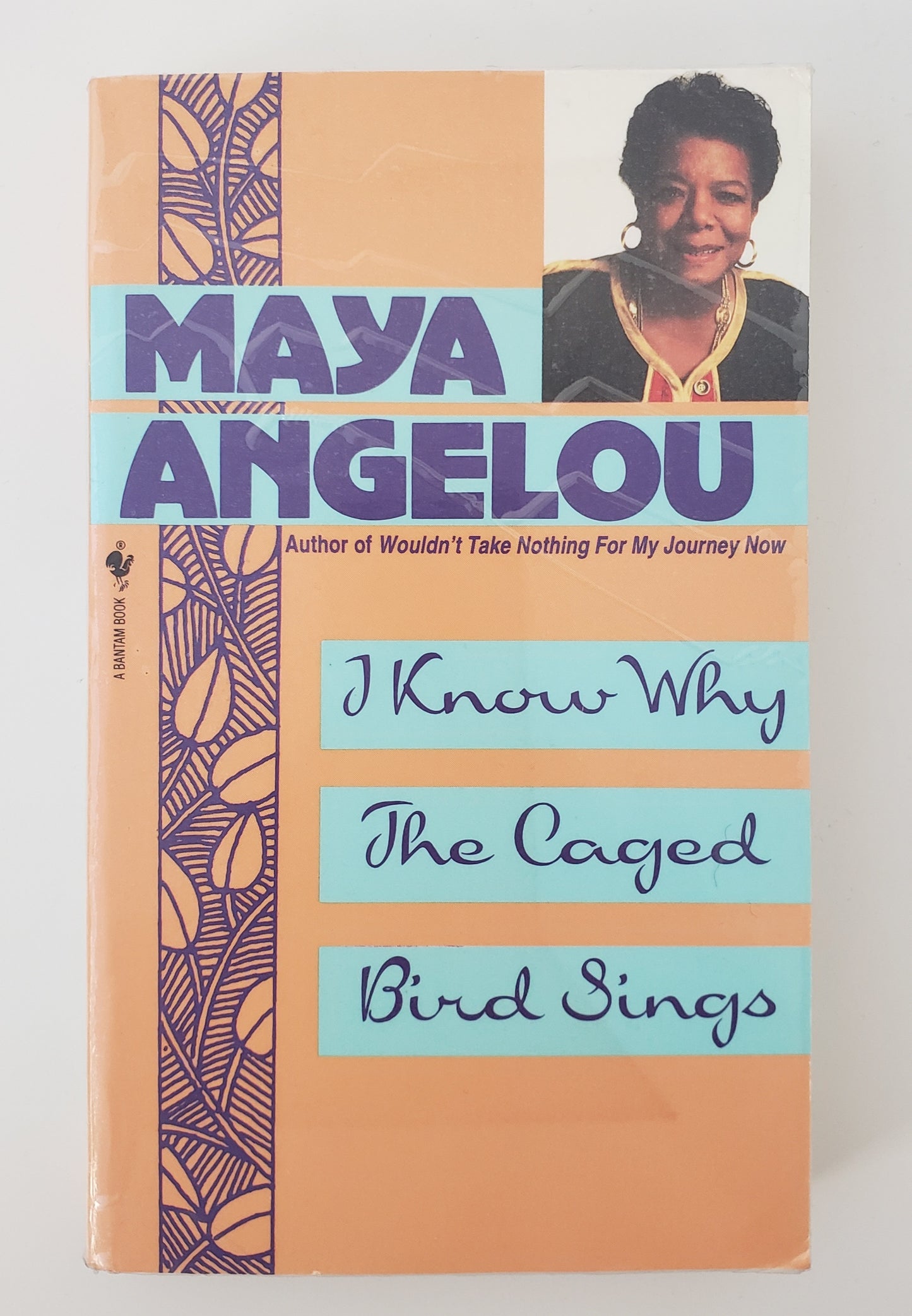 I Know Why the Caged Bird Sings