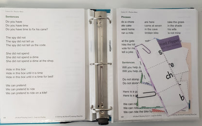All About Reading Level 2 Activity Book Leap Into Reading